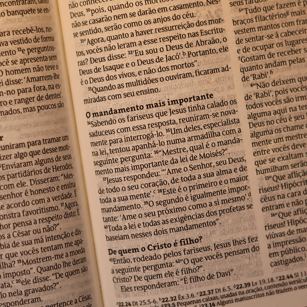 Bíblia Sagrada Com Recursos | NVT | Capa Dura Rosa