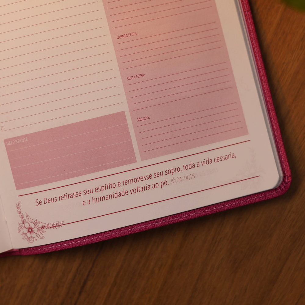 Agenda Executiva Diária 2027 | Pão Diário | Rosa Feminina