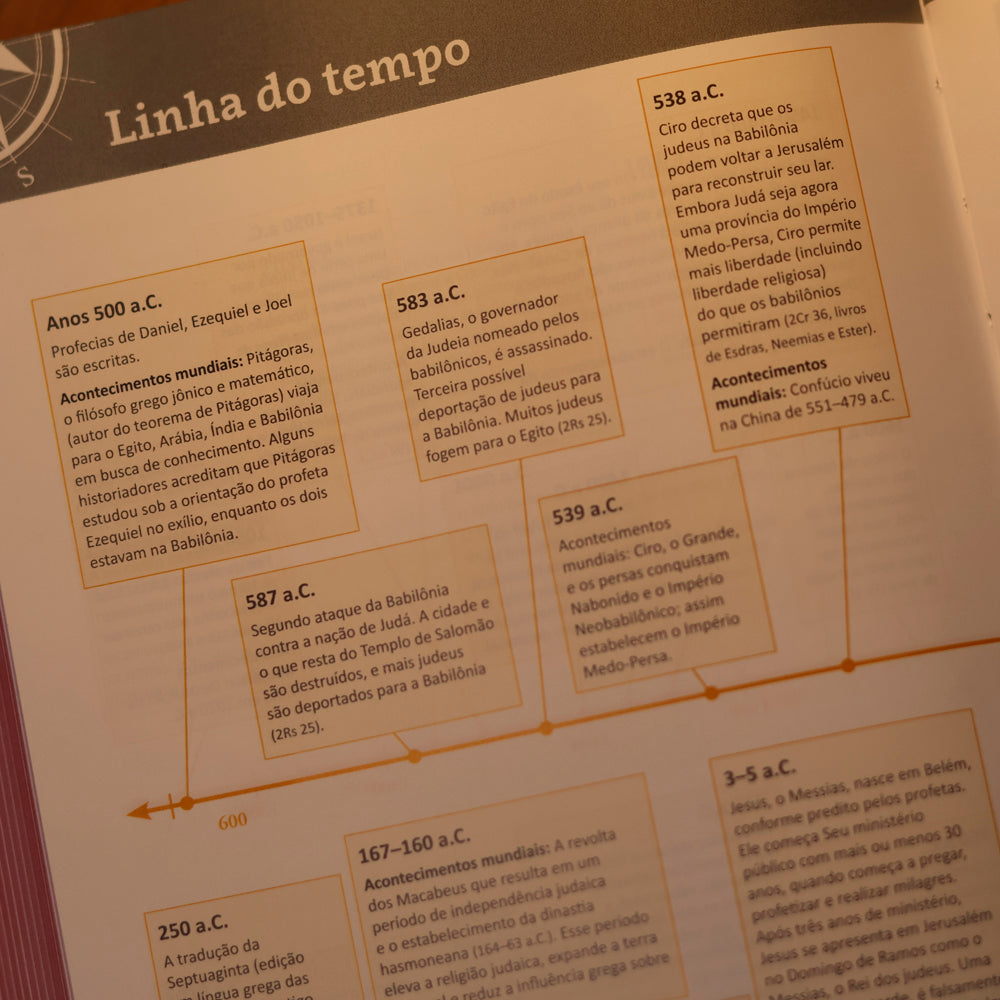 Bíblia da Garota | NVT | Com Índice | Capa Dura Flores