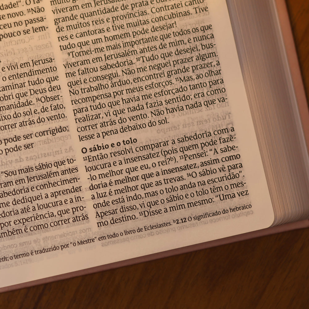 Bíblia de Estudos e Sermões de C. H. Spurgeon | NVT | Capa Rosé