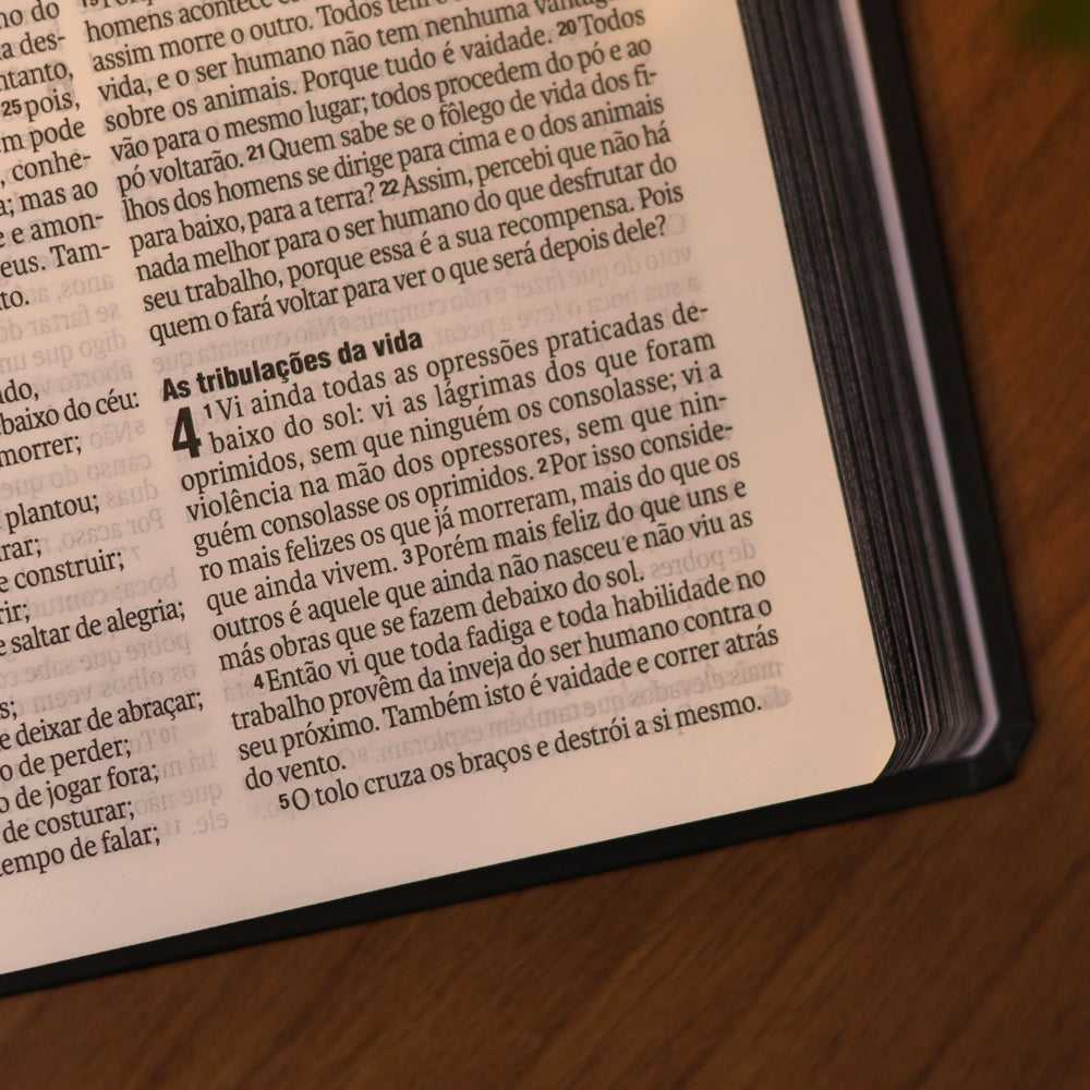 Bíblia Sagrada Leão de Judá | NAA | Capa Dura