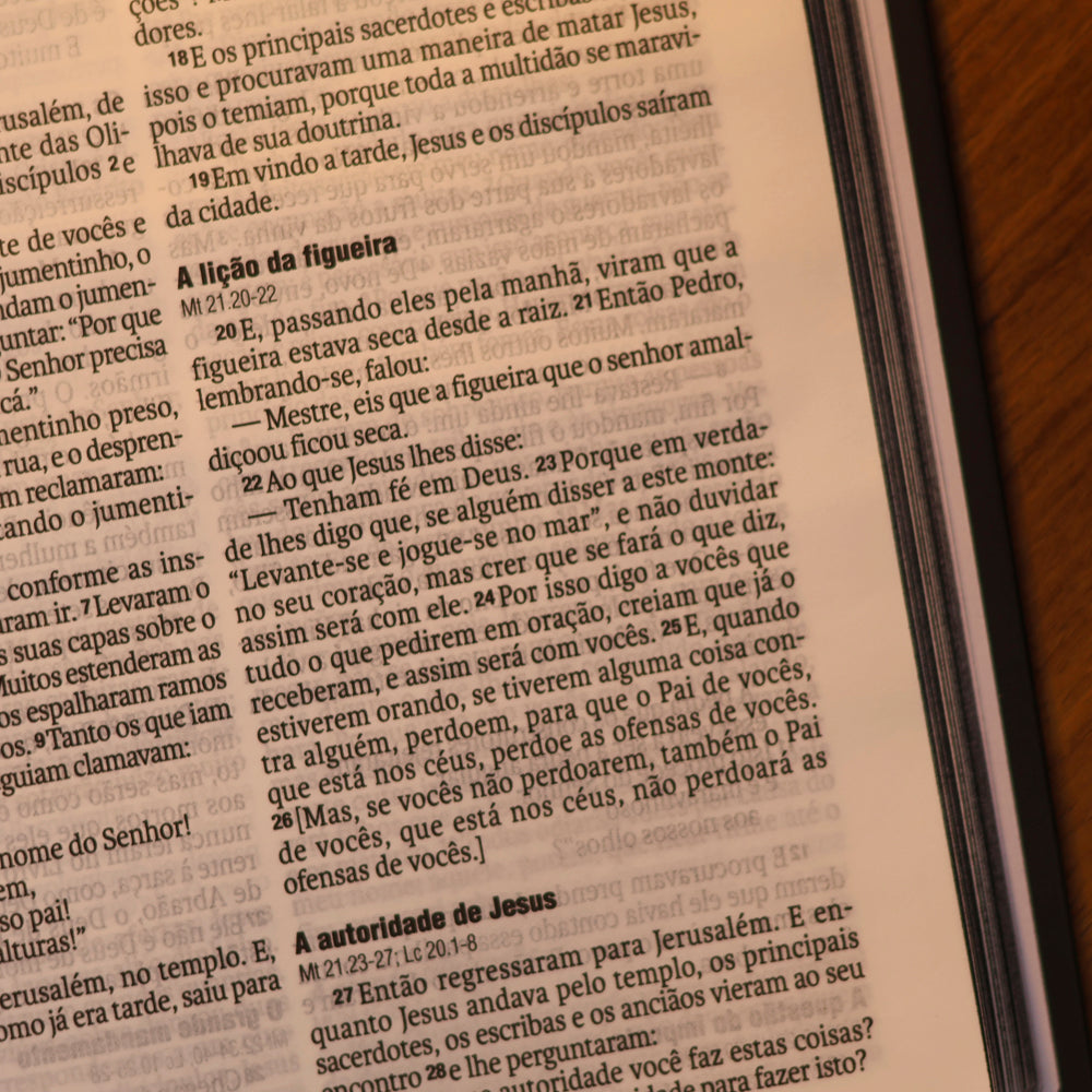 Bíblia Sagrada Leão de Judá | NAA | Capa Dura