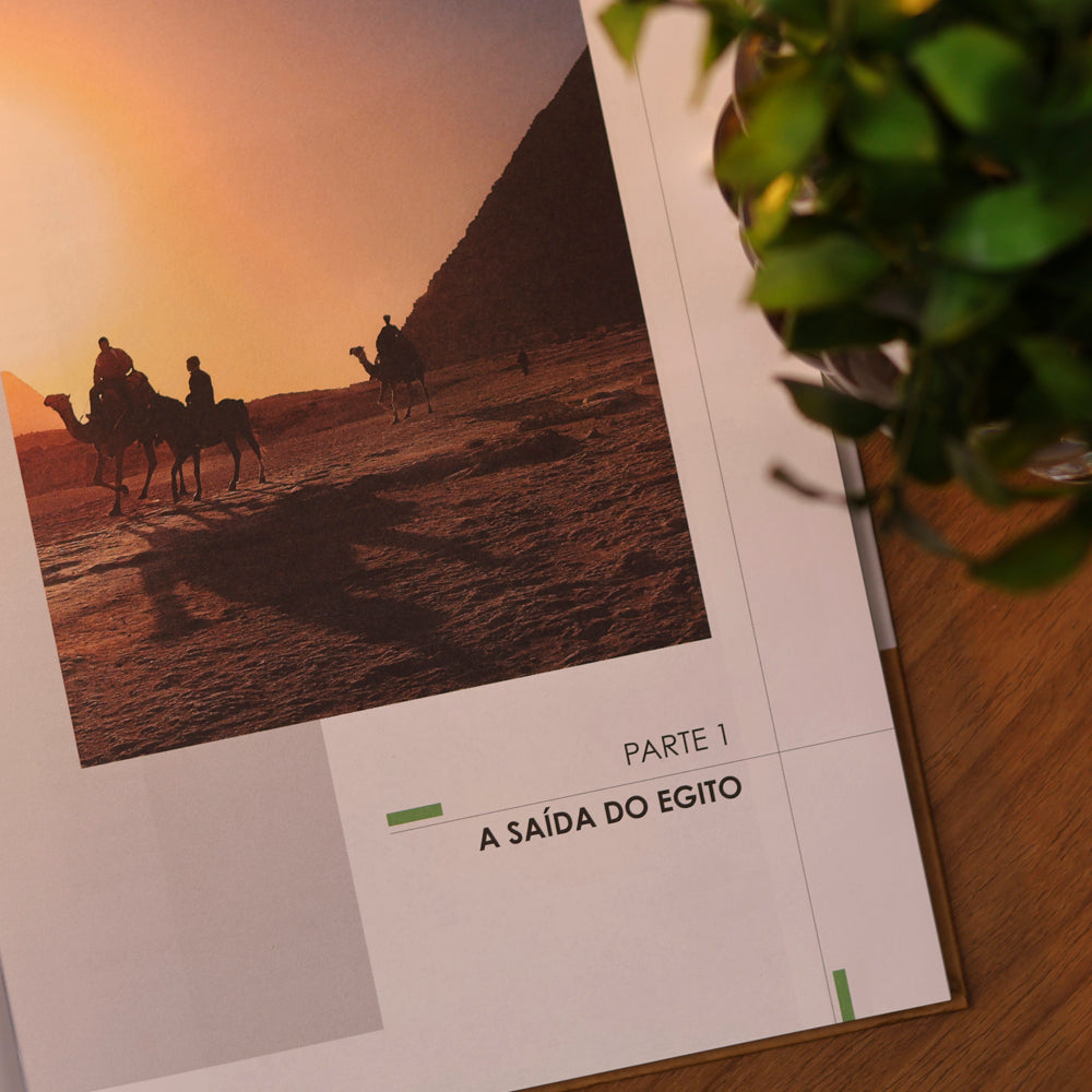 A Jornada no Deserto | De Êxodo a Deuteronômio | Dayse Fontoura