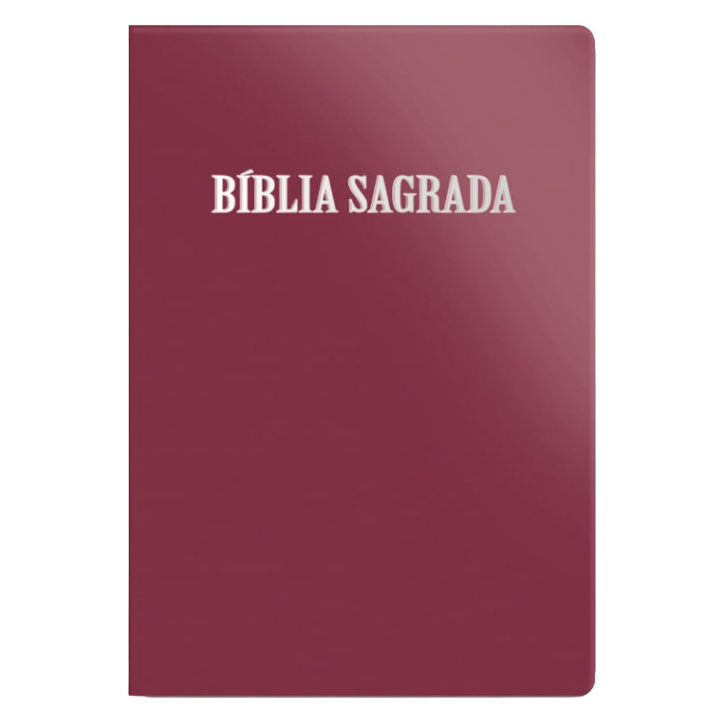 Bíblia Sagrada | ACF | Letra Normal | Capa Luxo Rosê
