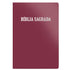 Bíblia Sagrada | ACF | Letra Normal | Capa Luxo Rosê