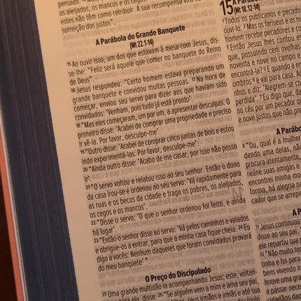 Bíblia Sagrada Slim | NVI | Letra Maior | Capa Luxo Nude