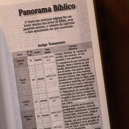 Bíblia Chaveiro Limão Siciliano | NVT | Capa Dura