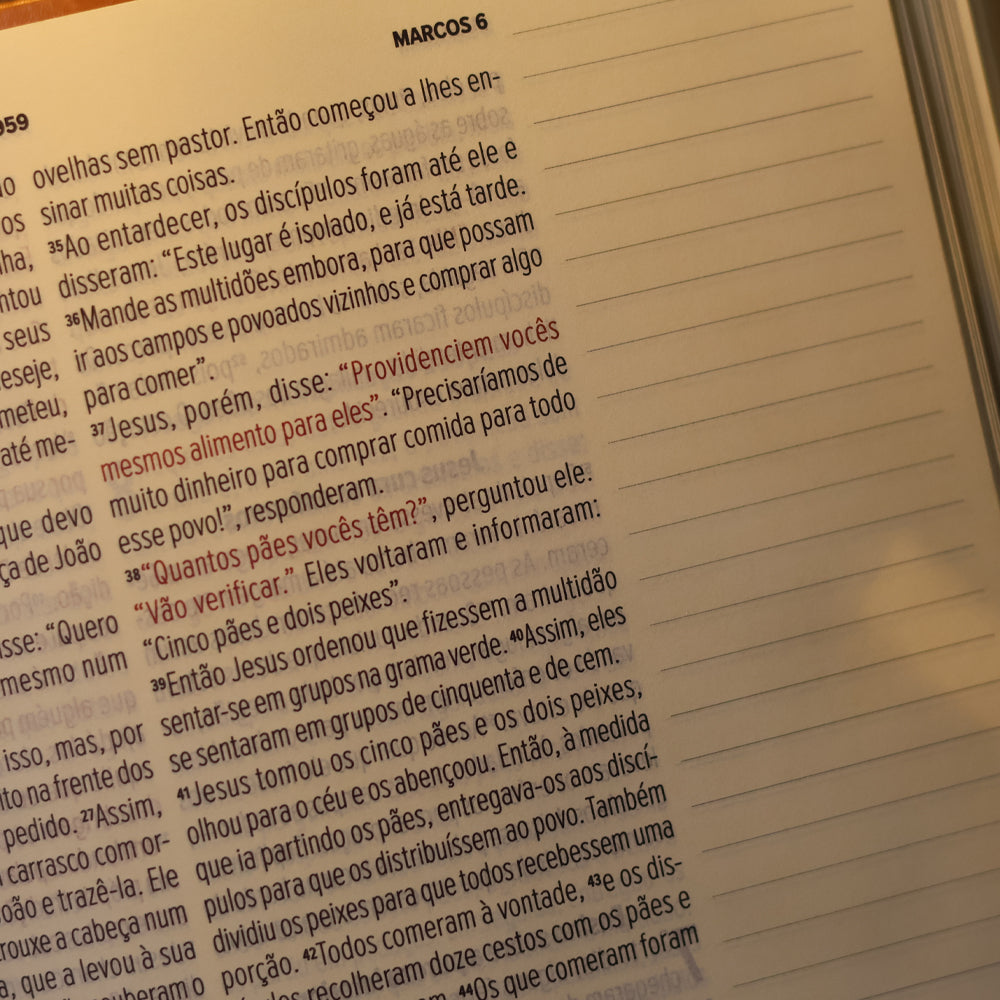 Bíblia NVT Leia e Anote | Letra Grande | Capa Renascer