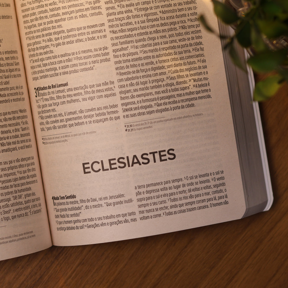 Kit Bíblia Evangelize | NVI | Graça Eterna + Livro de Anotações