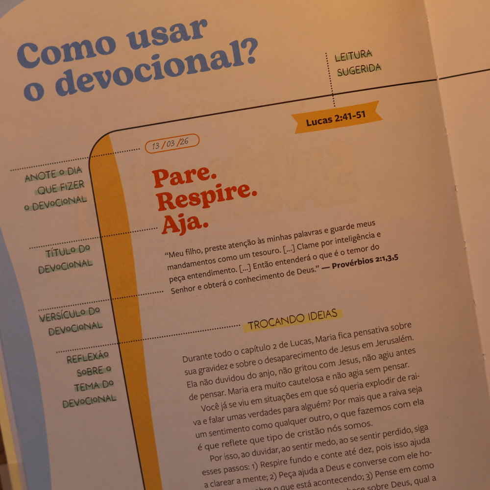 Devocional e Planner Smilinguido Carinhas | Inspirado Nos Livros de Lucas e João