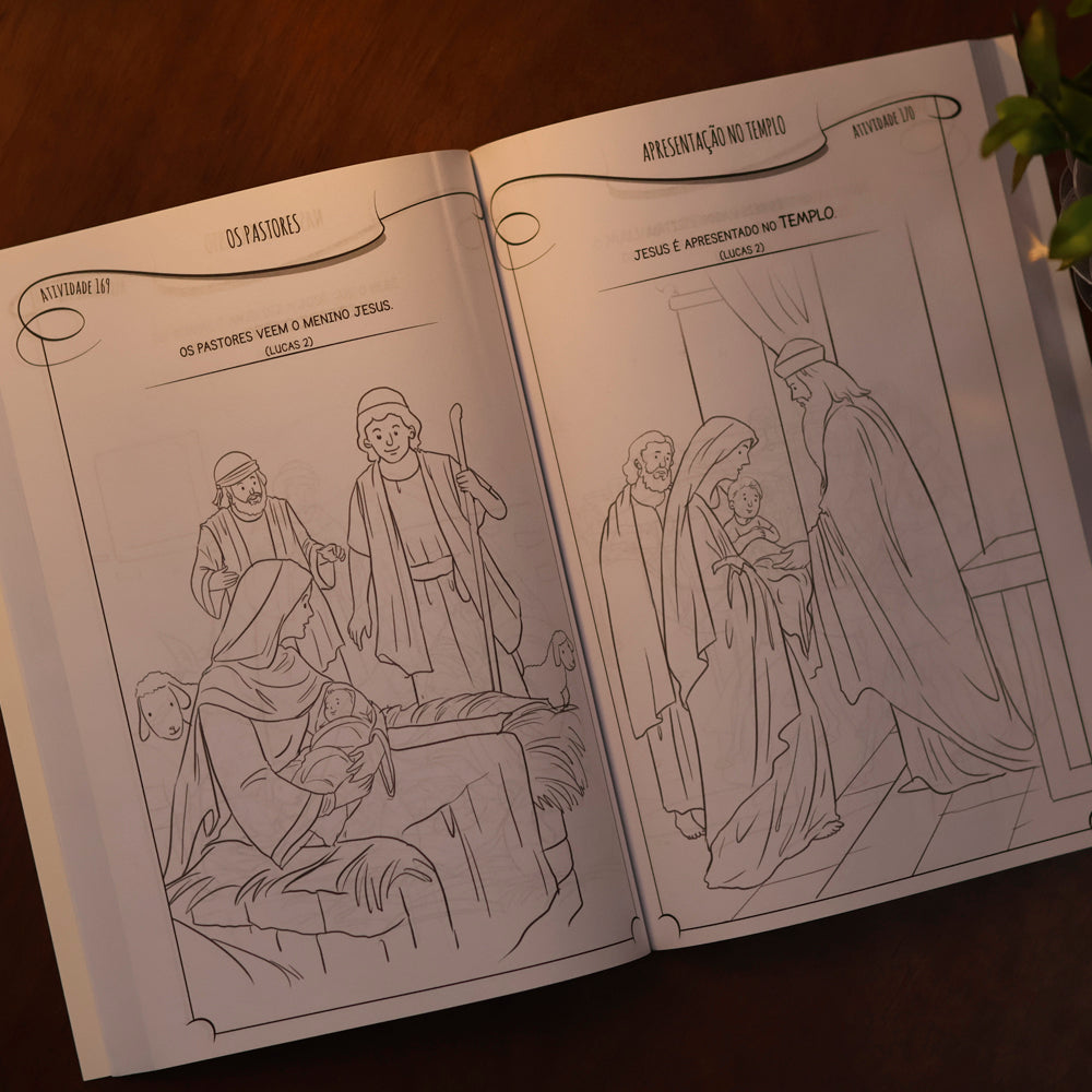 333 HISTORIAS DA BIBLIA PARA COLORIR