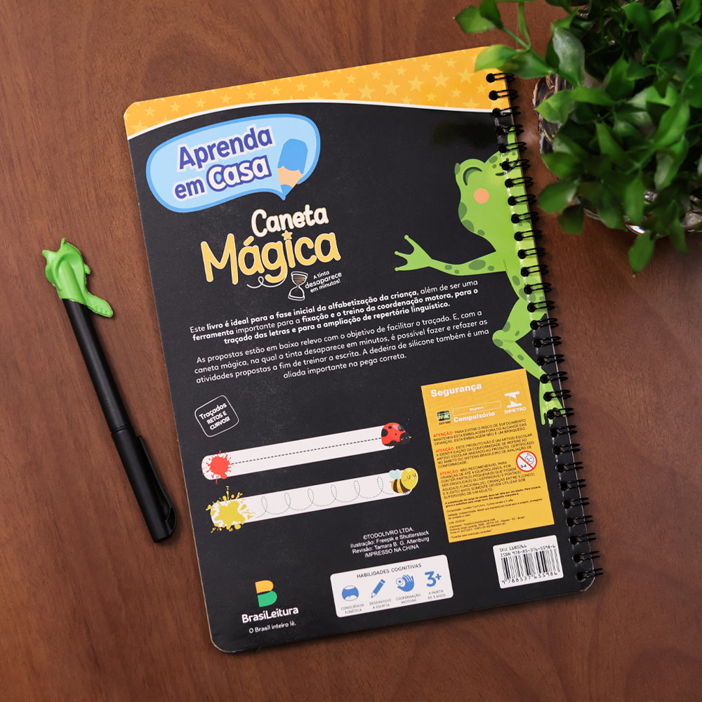 Aprenda em Casa  | Exercícios de Visomotricidade | Coordenação Motora