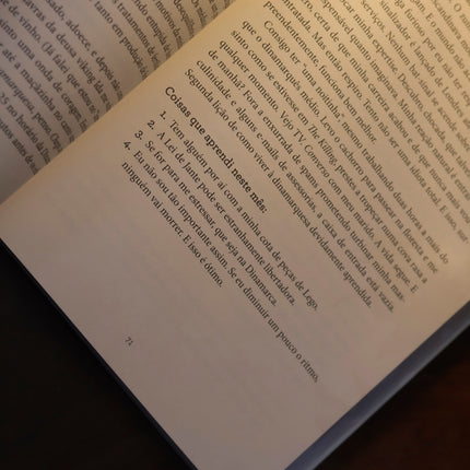 O Segredo da Dinamarca | Helen Russell