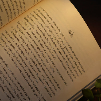 O Segredo da Dinamarca | Helen Russell