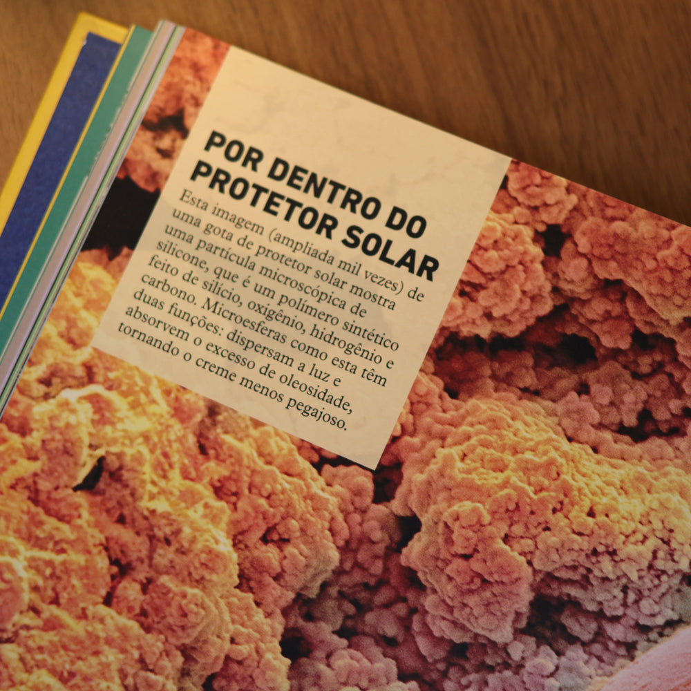 O Que Tem Dentro? | Manual do Mundo | Dorling Kindersley Limited