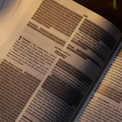 Bíblia Sagrada Flau | NTLH | Letra Maior | Capa Dura Roxa