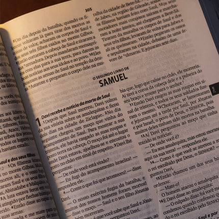 Bíblia Sagrada Faniquita | NTLH | Letra Maior | Capa Dura Vermelha
