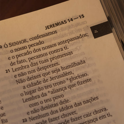 Bíblia Sagrada Faniquita | NTLH | Letra Maior | Capa Dura Vermelha