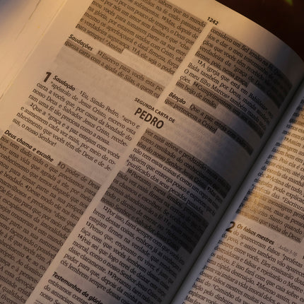 Bíblia Sagrada Faniquita | NTLH | Letra Maior | Capa Dura Vermelha