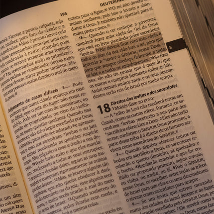 Bíblia Sagrada Faniquita | NTLH | Letra Maior | Capa Dura Vermelha