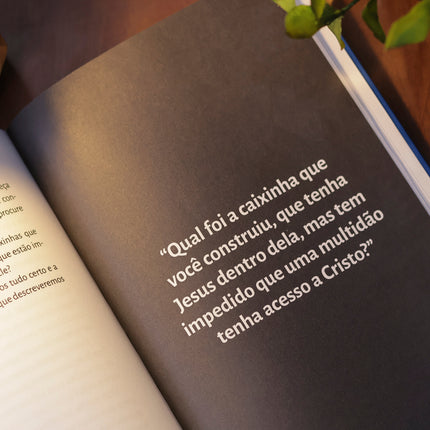 O Soltador de Pipa | João Marcos R. Mendes
