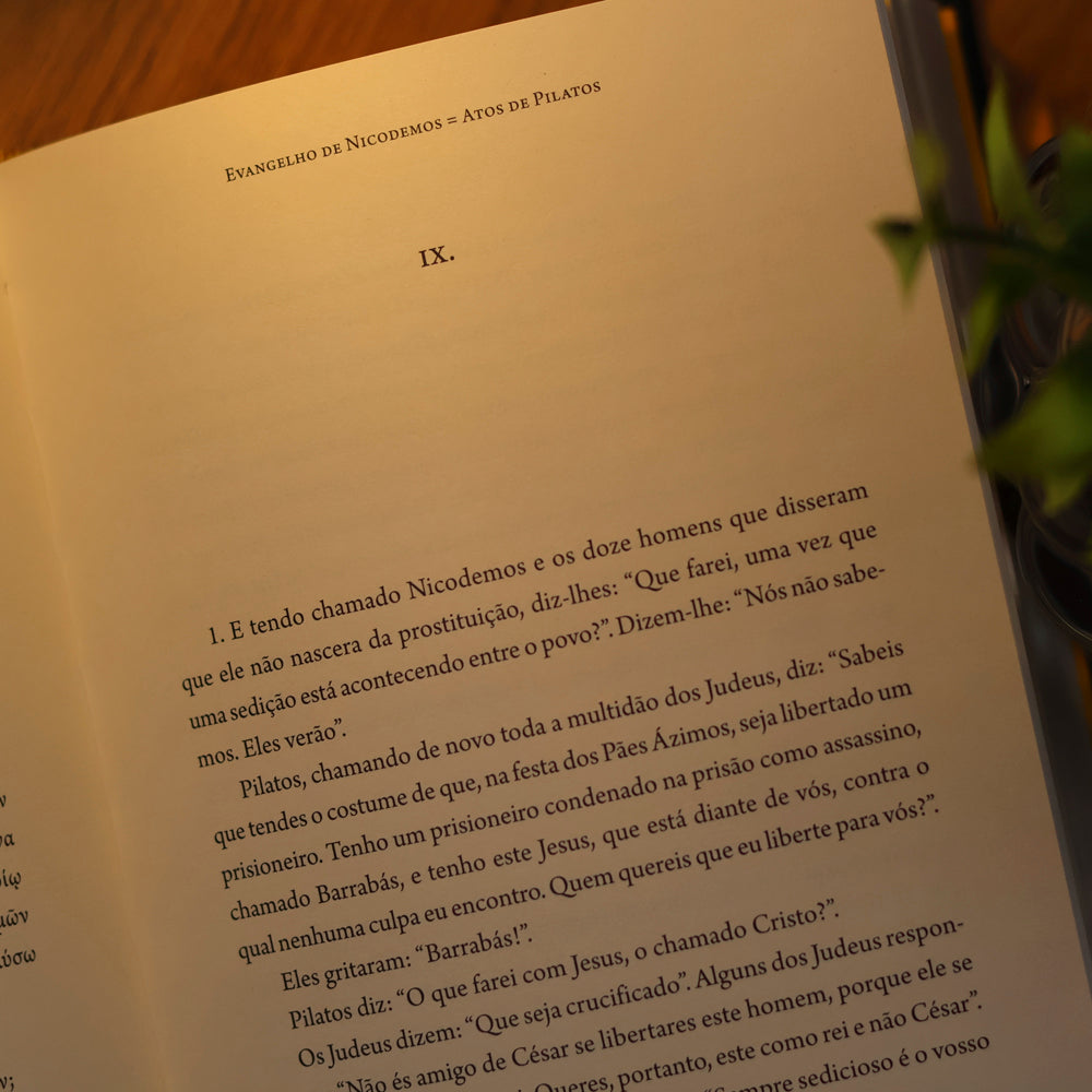 Evangelhos Apócrifos | Vários Autores