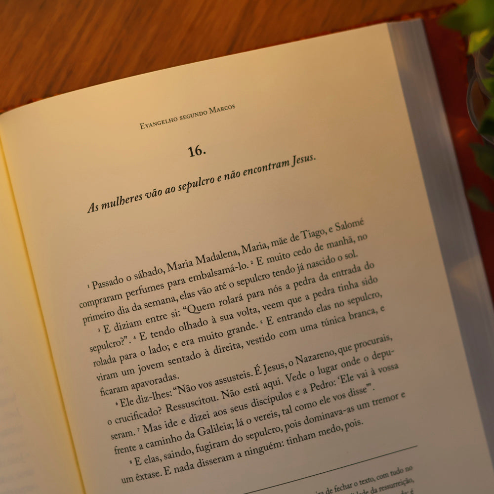 Bíblia |  Vol. 1 | Novo Testamento | Os Quatro Evangelhos