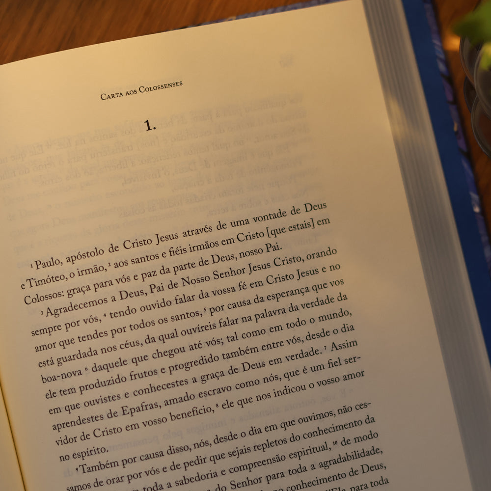 Bíblia | Vol. 2 | Novo Testamento | Apóstolos, Epístolas, Apocalipse