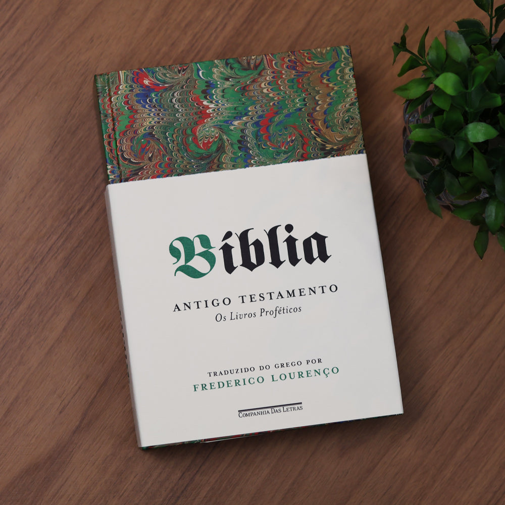 Bíblia | Vol. 3 | Antigo Testamento | Os Livros Proféticos
