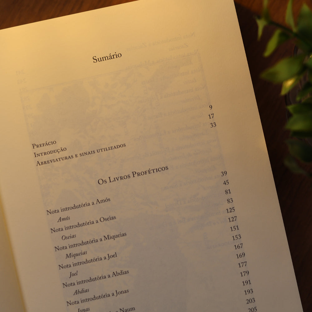 Bíblia | Vol. 3 | Antigo Testamento | Os Livros Proféticos