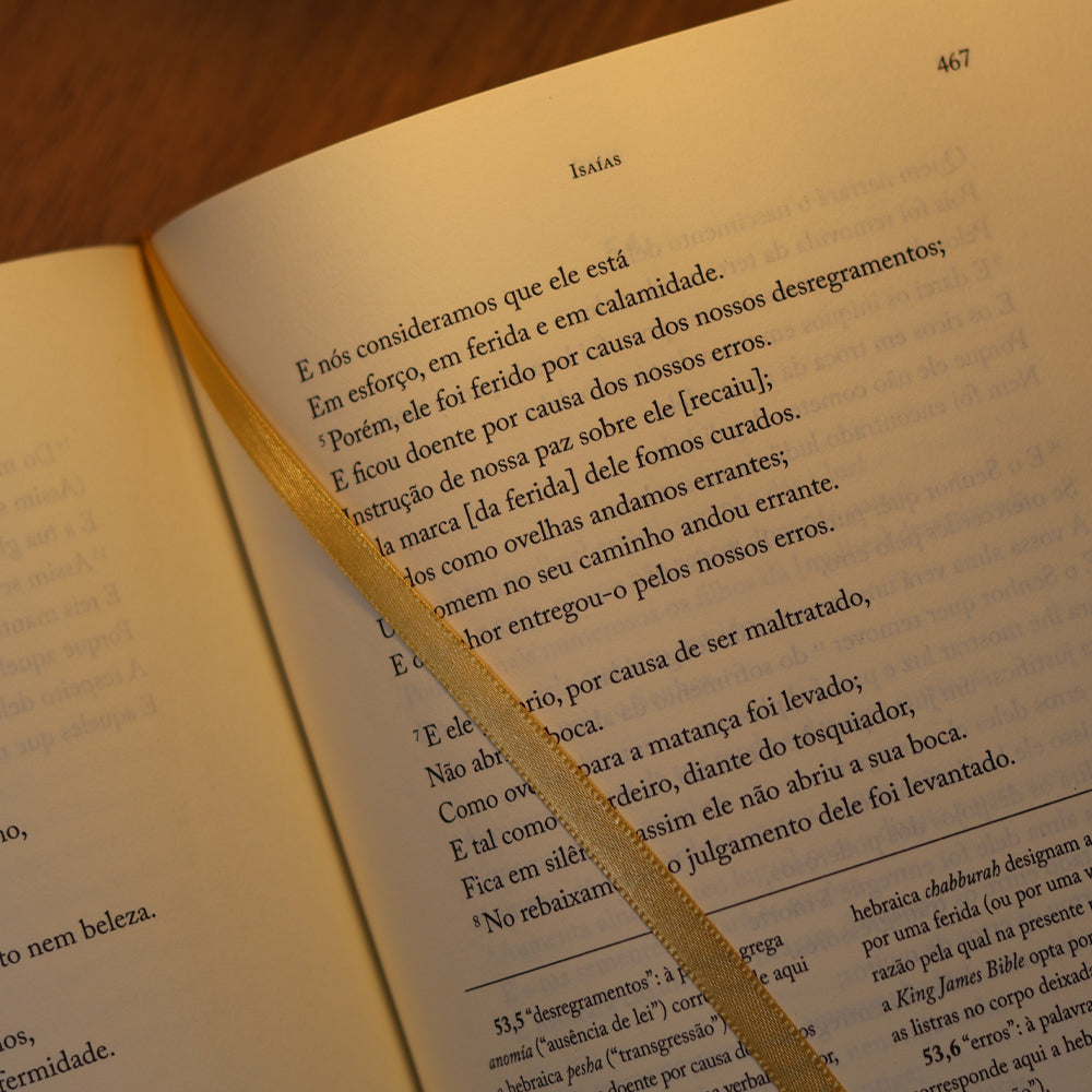 Bíblia | Vol. 3 | Antigo Testamento | Os Livros Proféticos