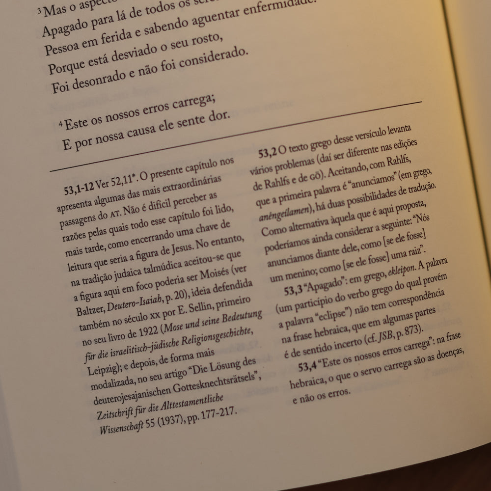 Bíblia | Vol. 3 | Antigo Testamento | Os Livros Proféticos