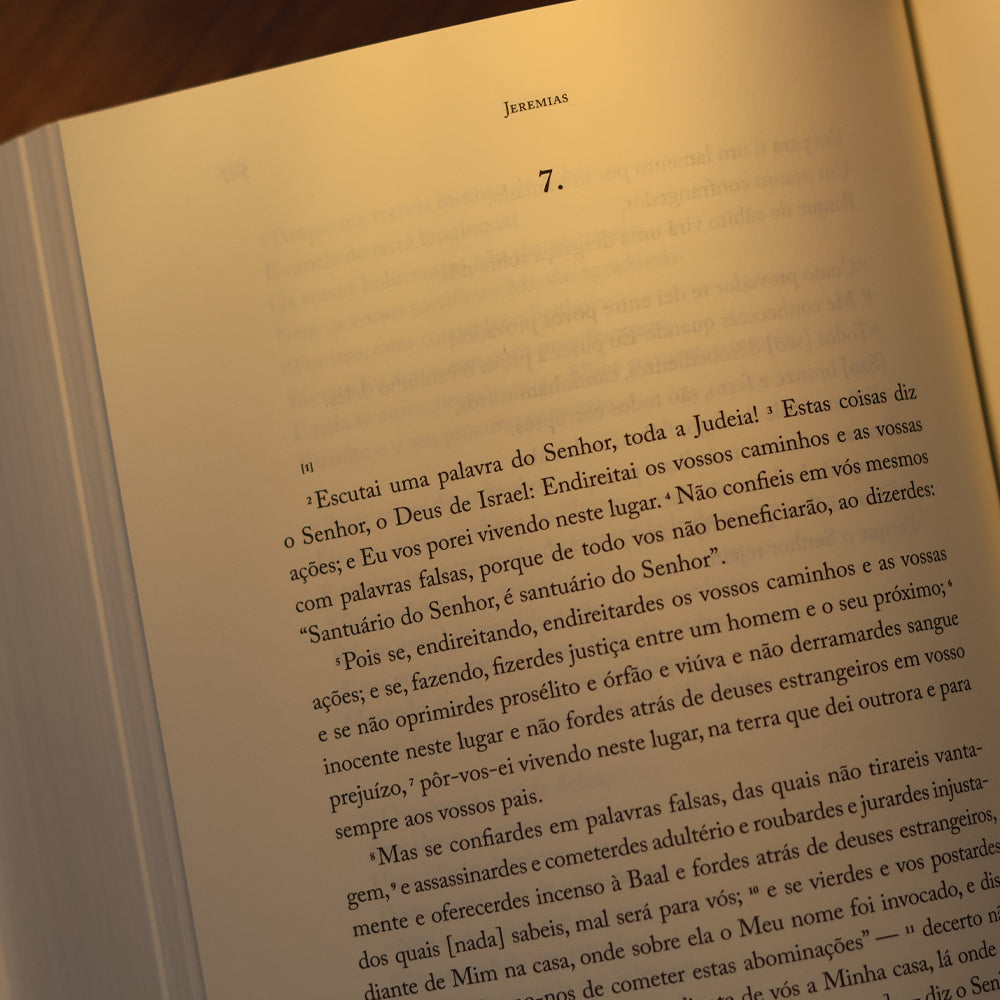 Bíblia | Vol. 3 | Antigo Testamento | Os Livros Proféticos