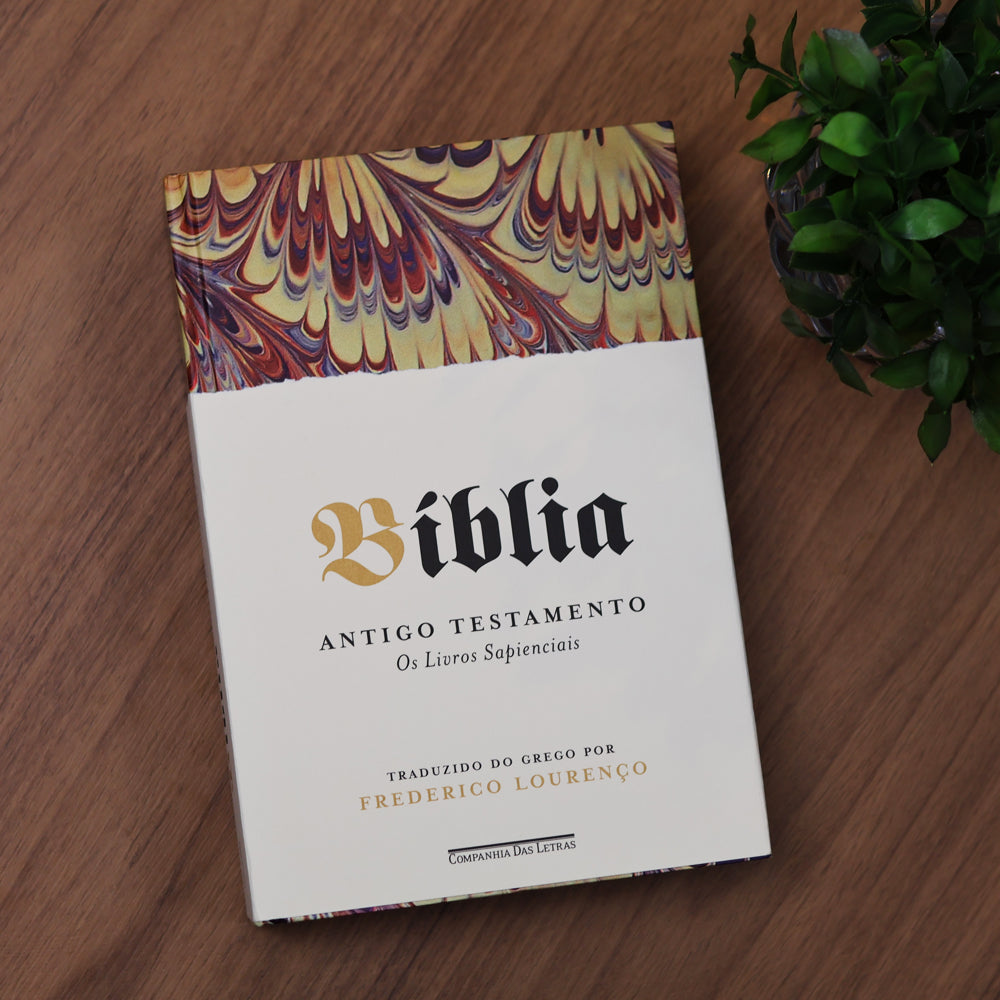 Bíblia | Vol. 5 | Antigo Testamento | Os Livros Sapienciais