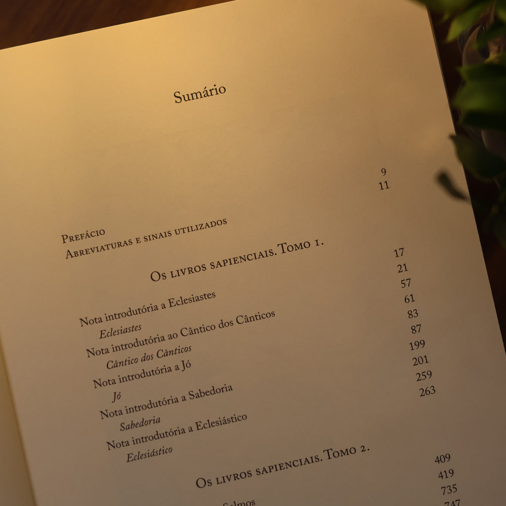 Bíblia | Vol. 5 | Antigo Testamento | Os Livros Sapienciais