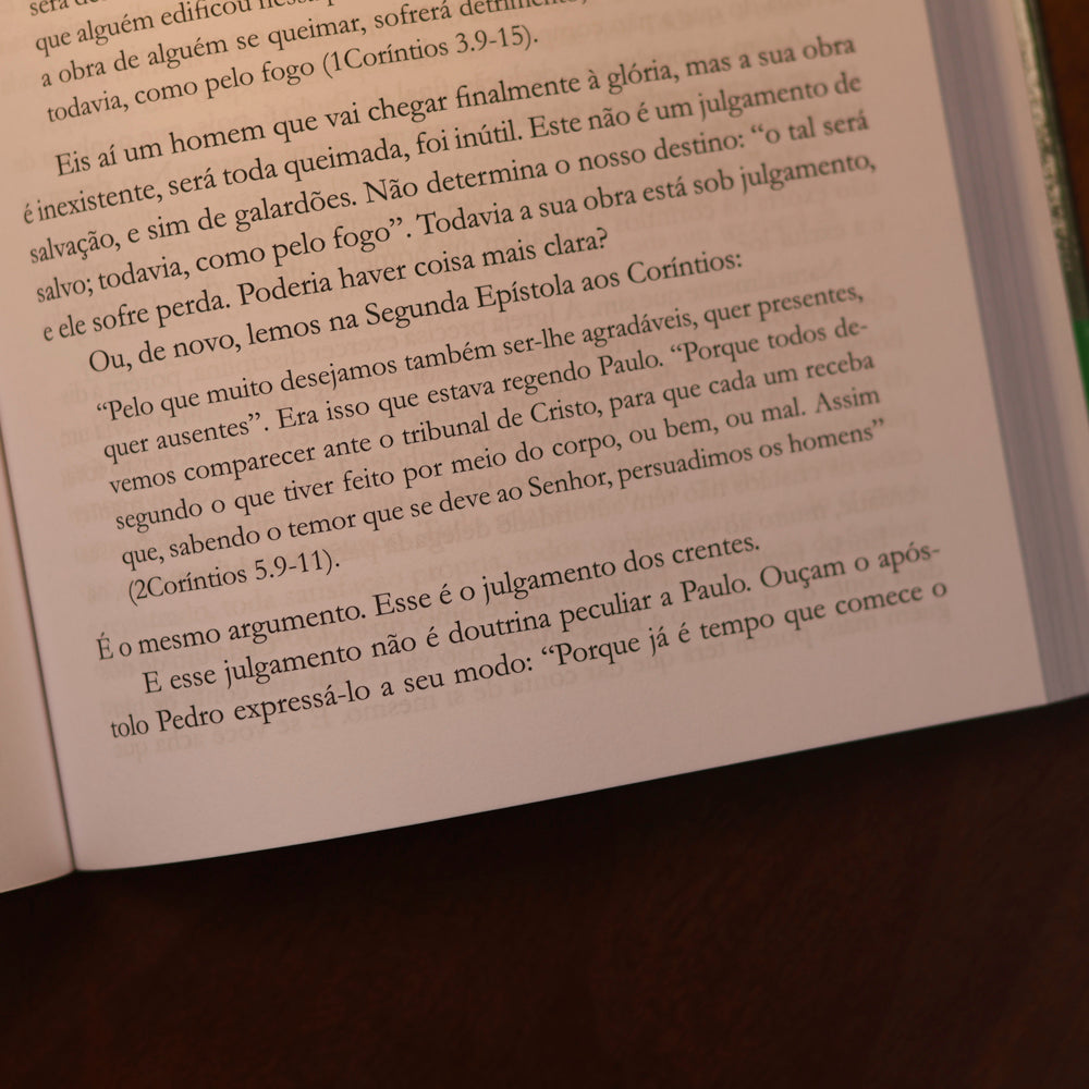 Romanos | Vol. 14 | D. Martyn Lloyd-Jones