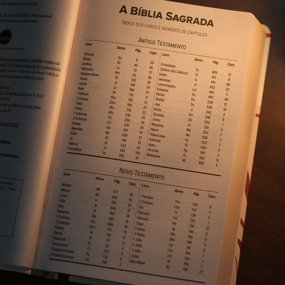 Bíblia Sagrada Cristo Vive Em Mim | NVI | Letra Maior | Capa Dura