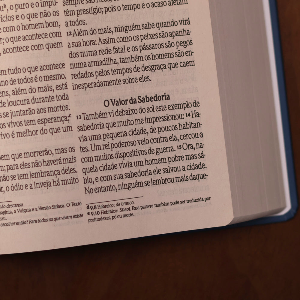 Bíblia Sagrada Vitral Azul | NVI | Letra Grande | Capa Dura