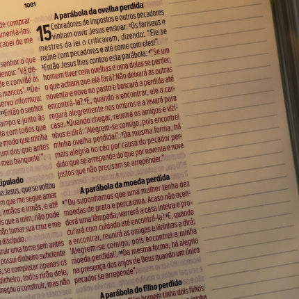 Bíblia Sagrada Leia e Anote Jardim | NVT | Letra Grande | Capa Luxo Marrom