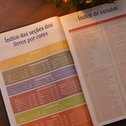 Bíblia de Estudo Para o Cotidiano do Homem | NVA | Full Collor | Capa Dura Preta