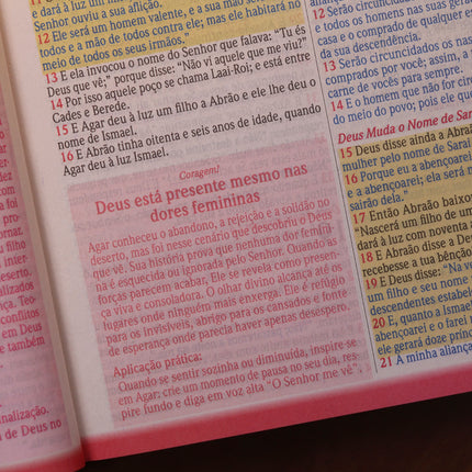 Bíblia de Estudo Para o Cotidiano da Mulher | NVA | Full Collor | Capa Dura Rosa Com Folhas