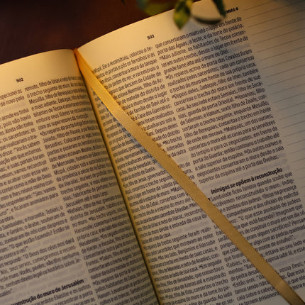 Bíblia Sagrada Leia e Anote Colossenses 1:19 | NVT | Letra Grande | Capa Luxo Bordô