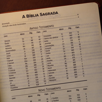 Bíblia Sagrada Leia e Anote Colossenses 1:19 | NVT | Letra Grande | Capa Luxo Bordô