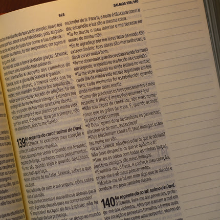 Bíblia Sagrada Leia e Anote Colossenses 1:19 | NVT | Letra Grande | Capa Luxo Bordô
