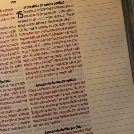 Bíblia Sagrada Leia e Anote Colossenses 1:19 | NVT | Letra Grande | Capa Luxo Bordô