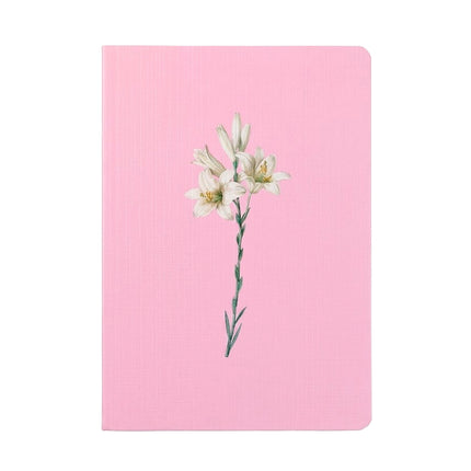Livreto Lírio Rosa  | Capa Brochura