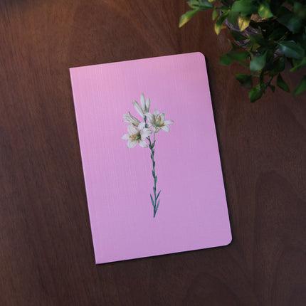 Livreto Lírio Rosa  | Capa Brochura