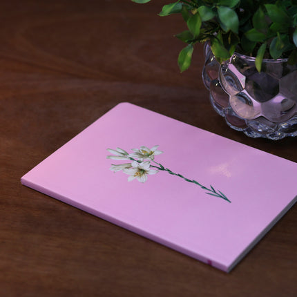 Livreto Lírio Rosa  | Capa Brochura