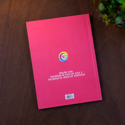 Bíblia Sagrada Menina Buque | NVA | Capa Brochura