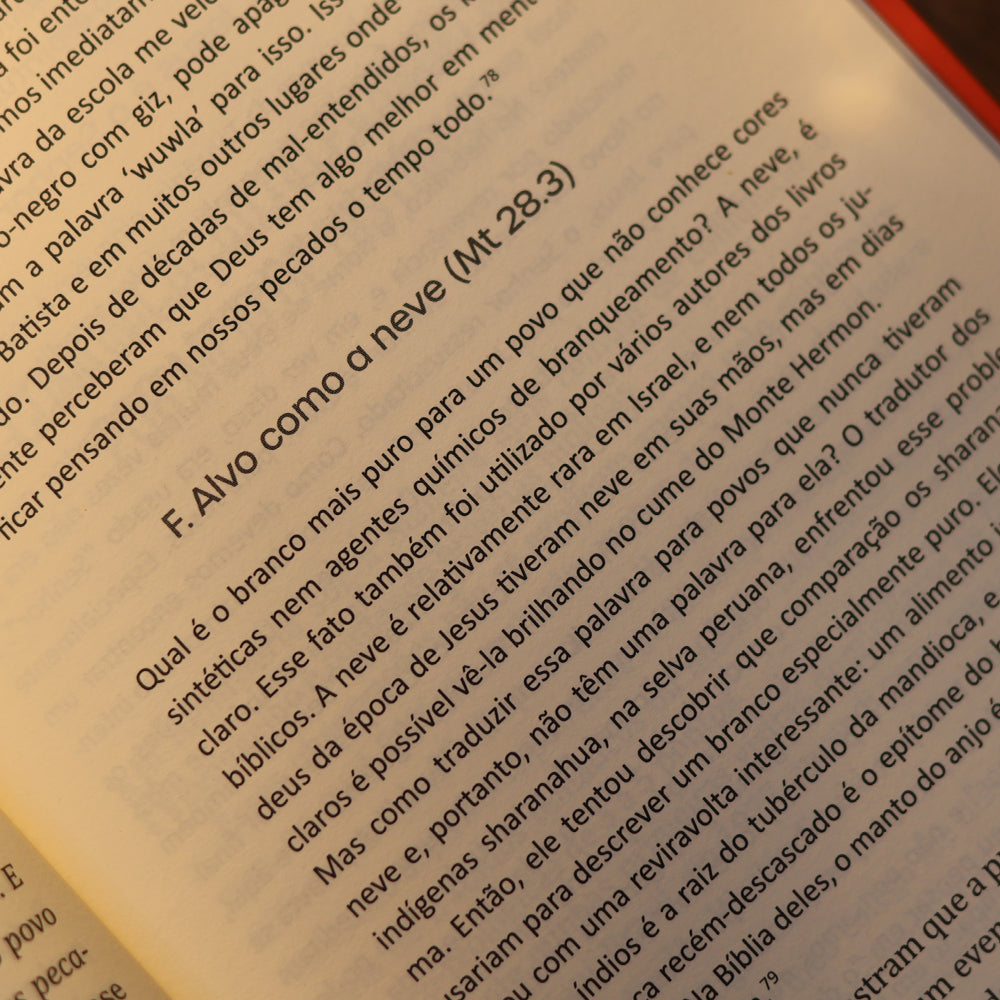 Comunicação Intercultural | Hans Ulrich Reifler